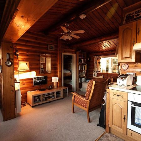 Rustic Log Cabin In Snowdonia By Seren Short Stays Trawsfynydd Exteriör bild