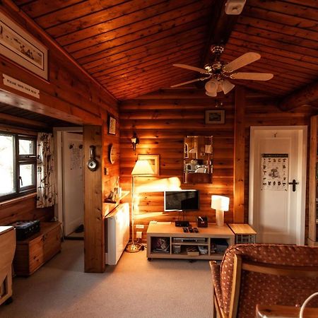 Rustic Log Cabin In Snowdonia By Seren Short Stays Trawsfynydd Exteriör bild