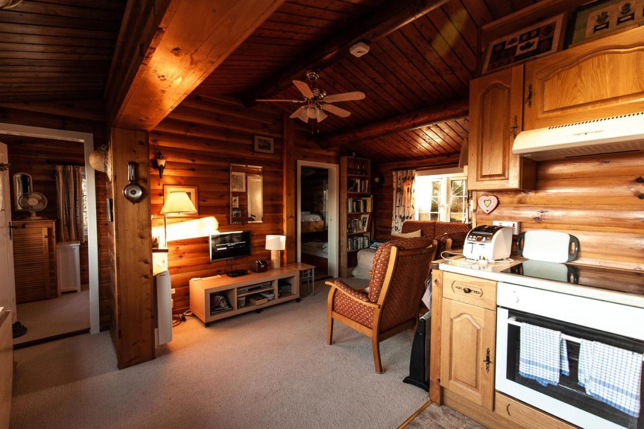 Rustic Log Cabin In Snowdonia By Seren Short Stays Trawsfynydd Exteriör bild
