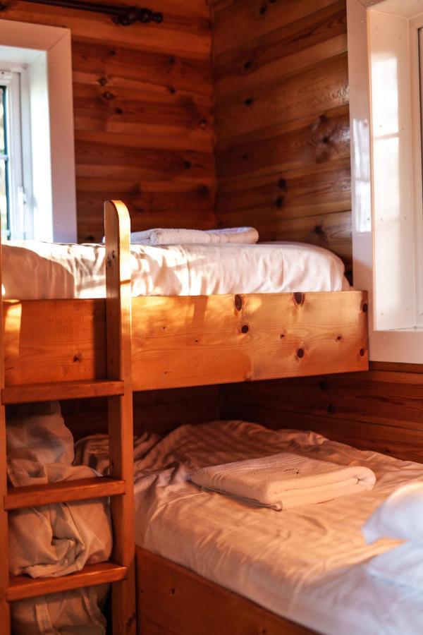 Rustic Log Cabin In Snowdonia By Seren Short Stays Trawsfynydd Exteriör bild