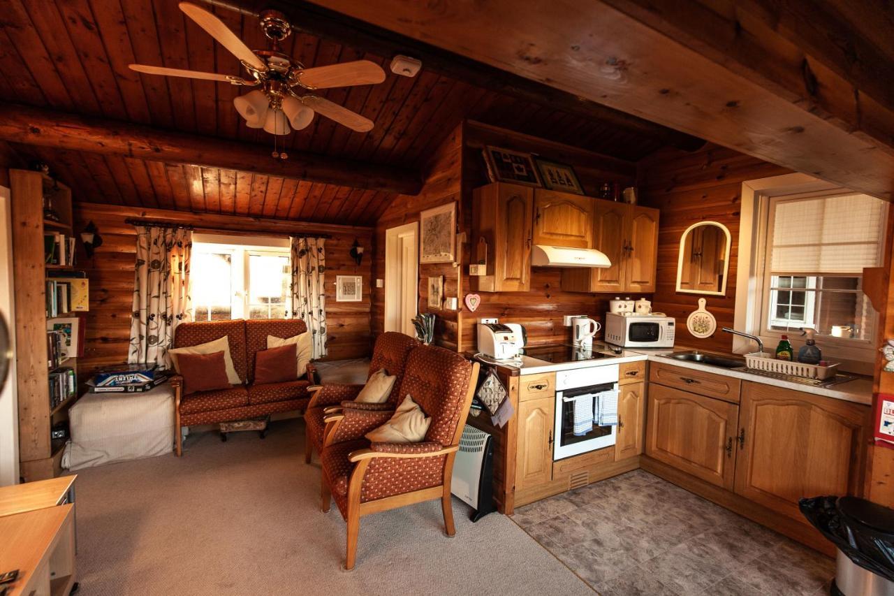 Rustic Log Cabin In Snowdonia By Seren Short Stays Trawsfynydd Exteriör bild